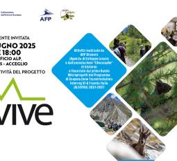 alpivive invitation
