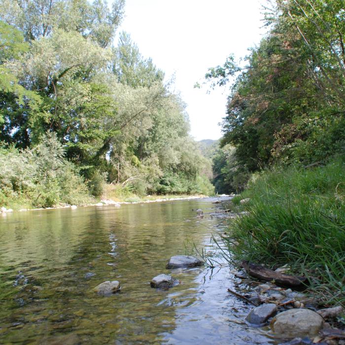 MOS.ECO