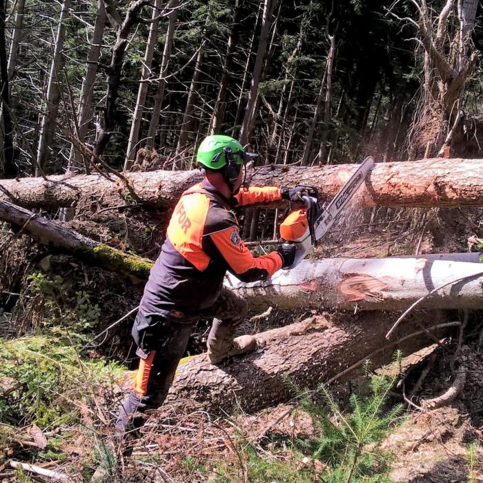 Associazione Istruttori Forestali