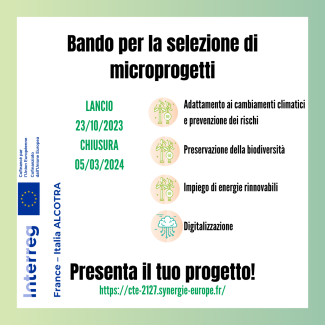 microprojets 