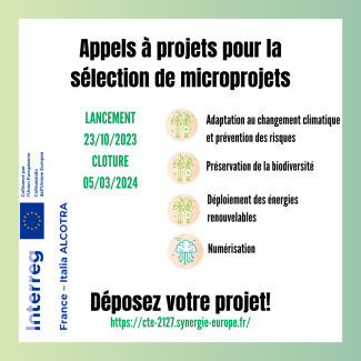 microprojets 