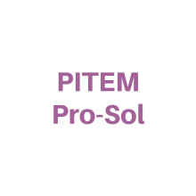 logo pitem prosol