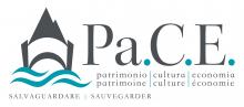 SALVAGUARDARE logo